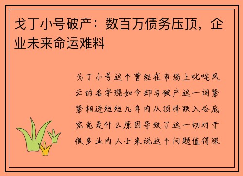 戈丁小号破产：数百万债务压顶，企业未来命运难料